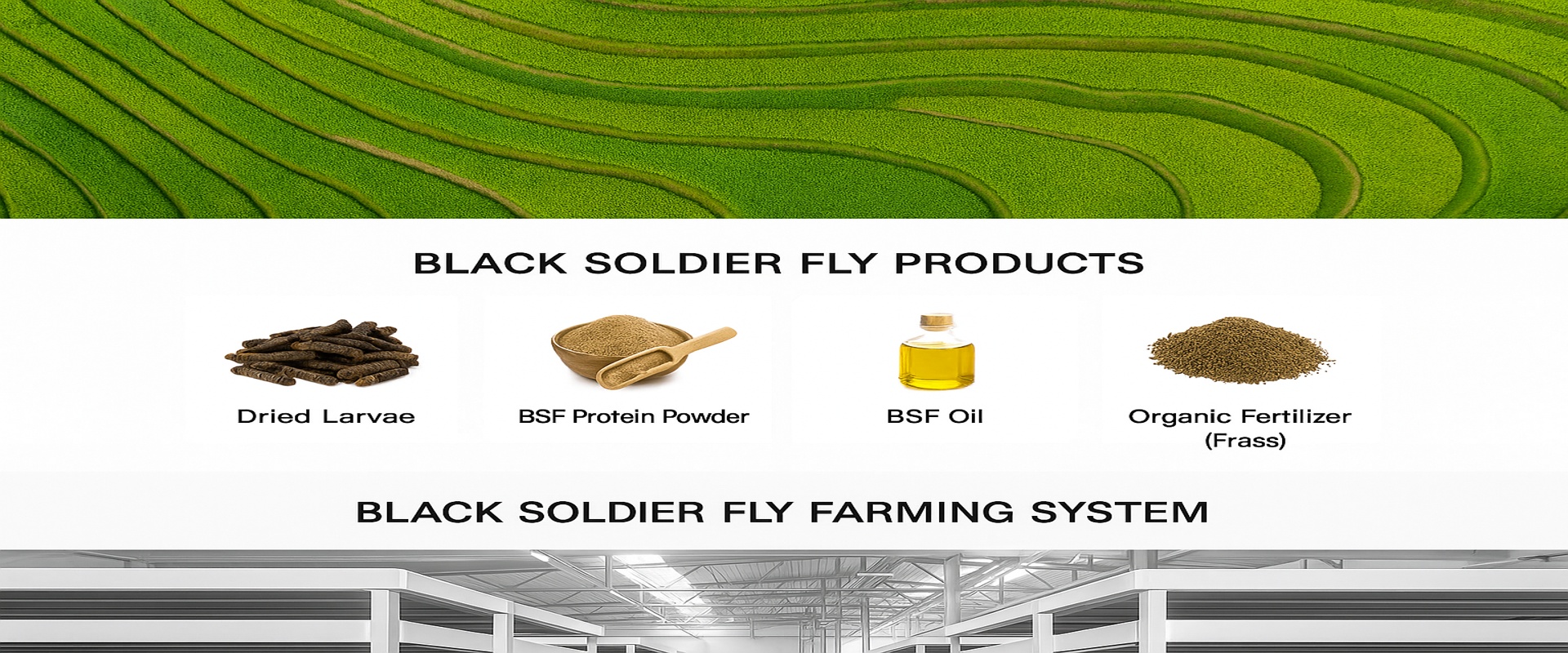Chengdu Natural Selection Insect Industry Co., Ltd.