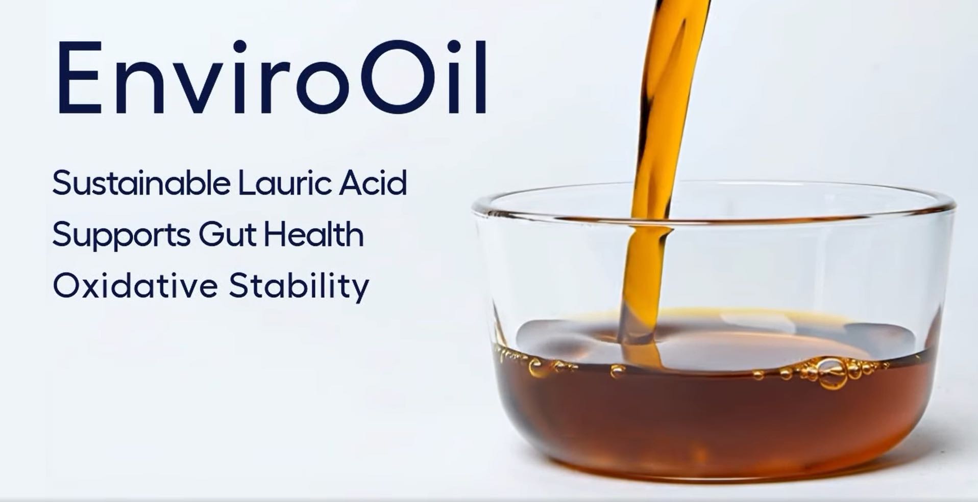 Black Soldier Fly Oil