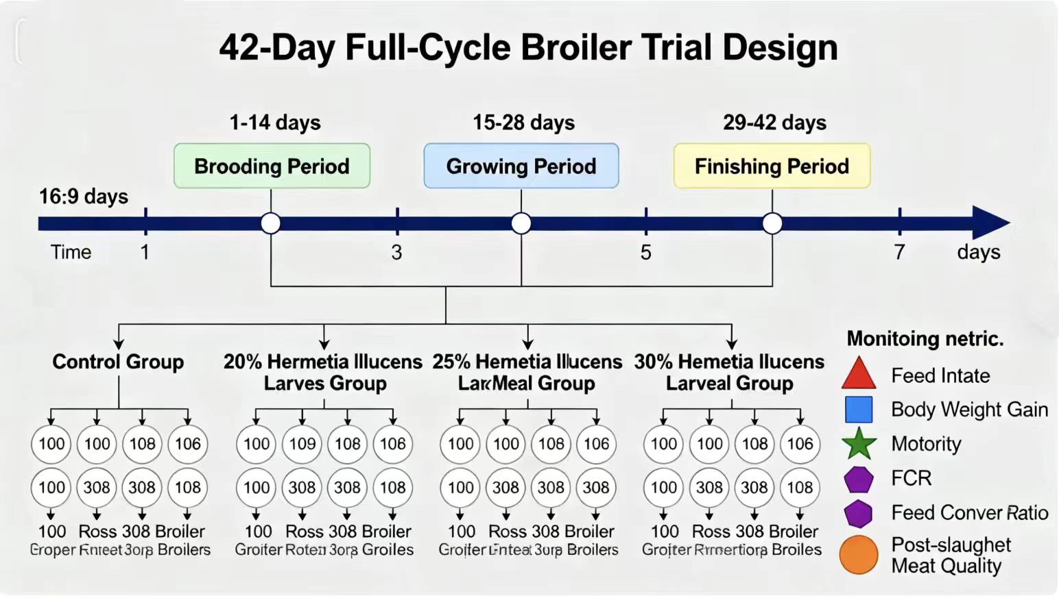 Full-Cycle Broiler Feeding Trial with Black Soldier Fly Feed: FCR Drops to 1.6:1, Meat Quality Meets