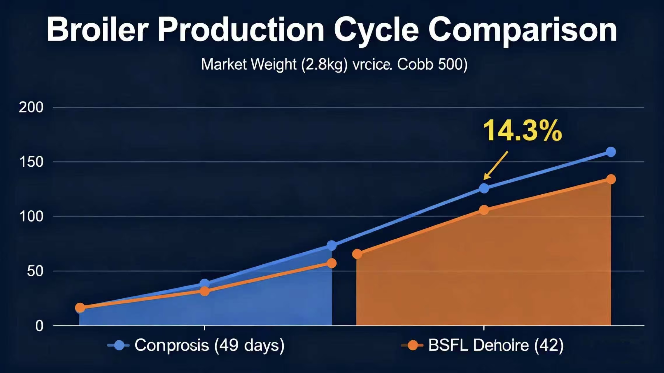 Broiler Production Cycle Shortened by 7 Days! Black Soldier Fly High-Protein Feed Boosts Breeding Ef