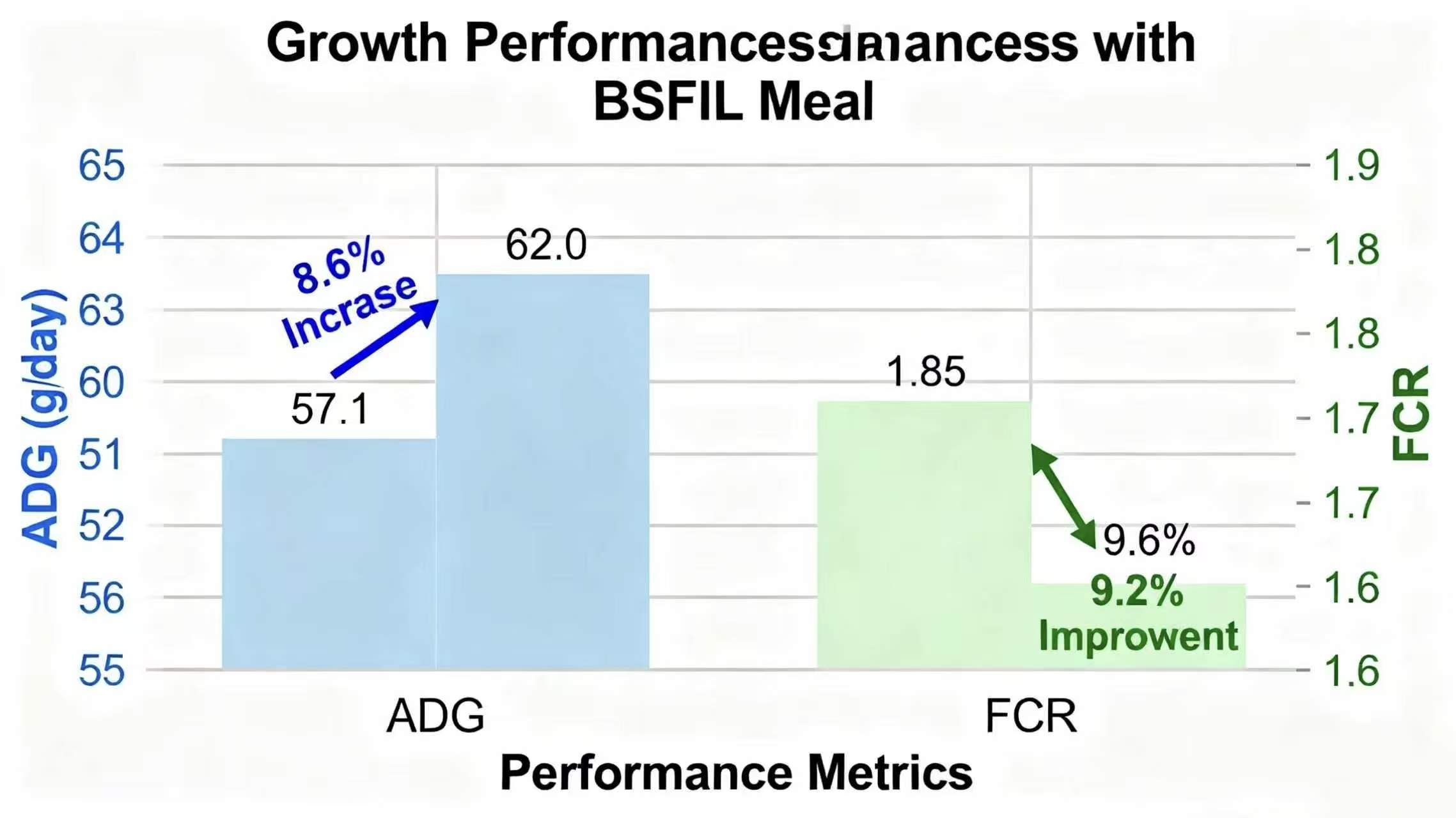 Broiler Production Cycle Shortened by 7 Days! Black Soldier Fly High-Protein Feed Boosts Breeding Ef