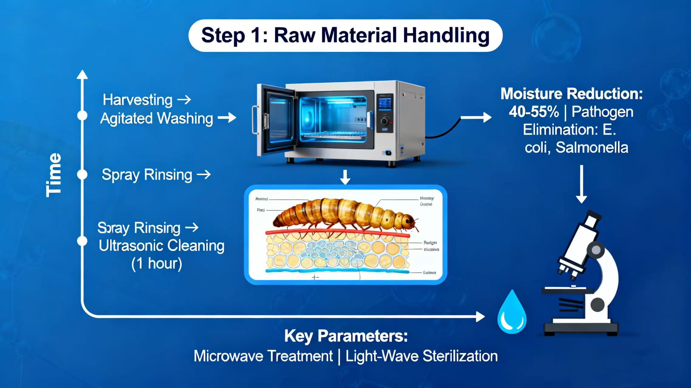 BSFL Meal: Sustainable Protein for the Future