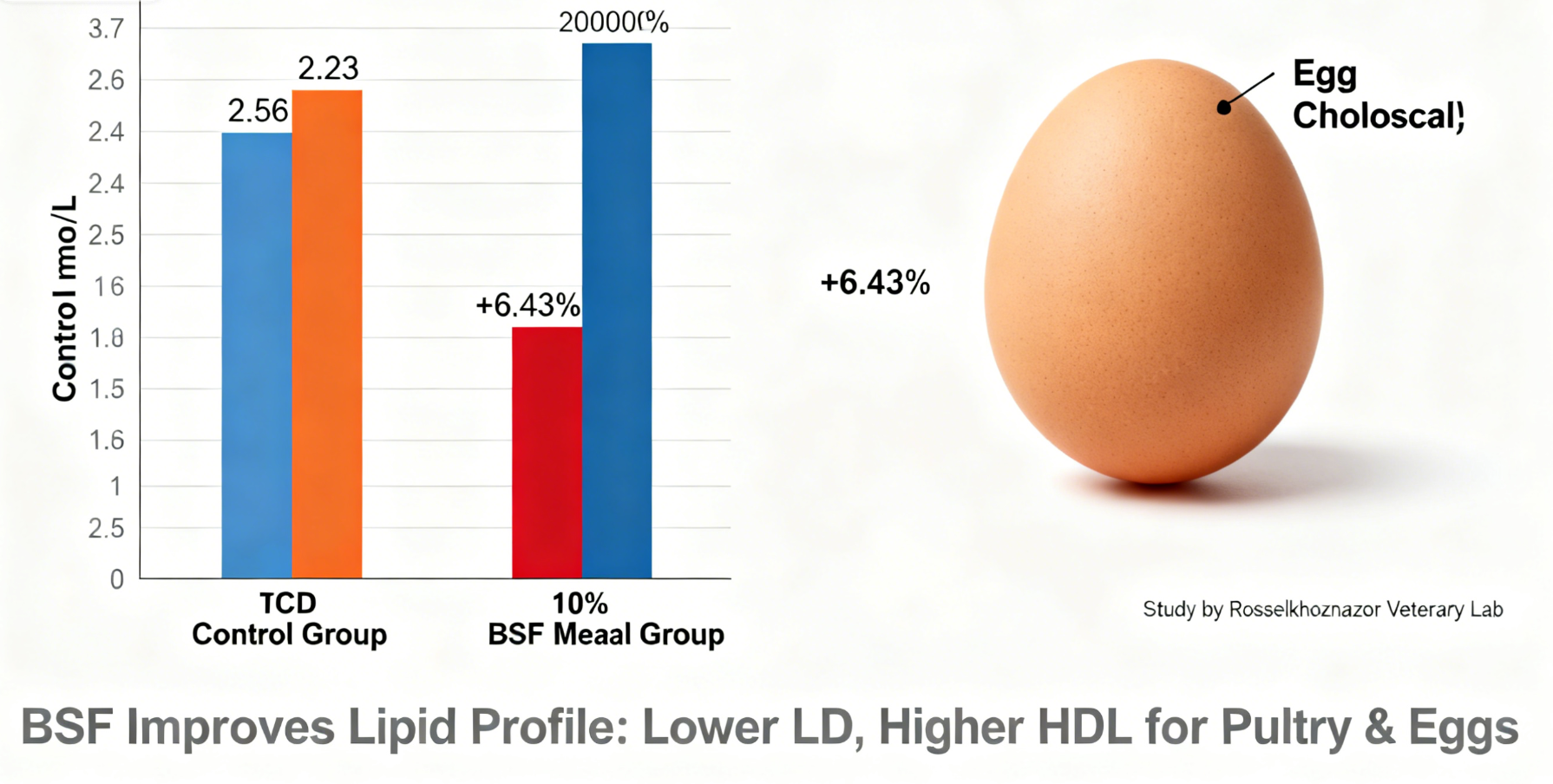 Revolution in Poultry Farming: Black Soldier Fly (BSF) Larvae — The Key to Health, Profit, and Susta