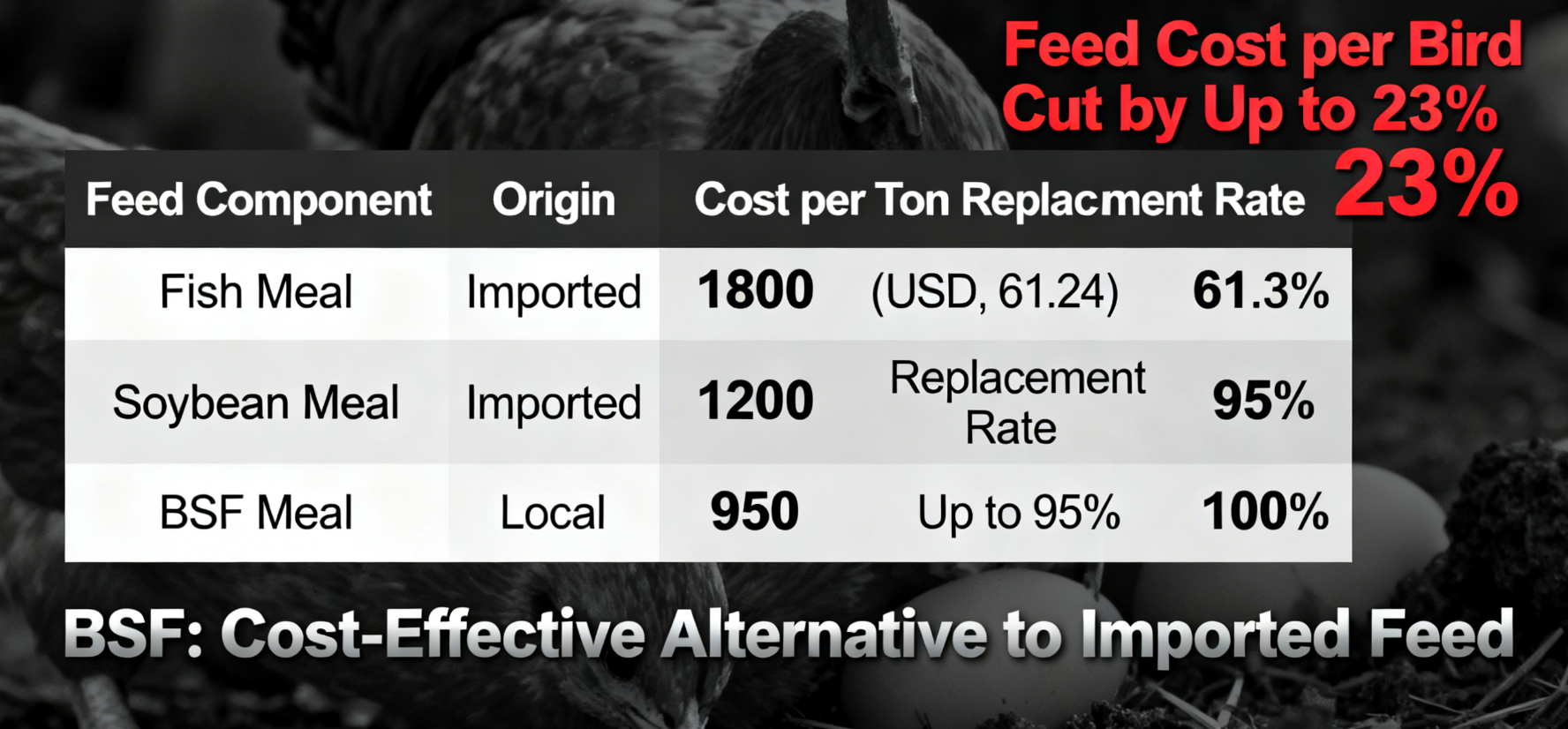 Revolution in Poultry Farming: Black Soldier Fly (BSF) Larvae — The Key to Health, Profit, and Susta
