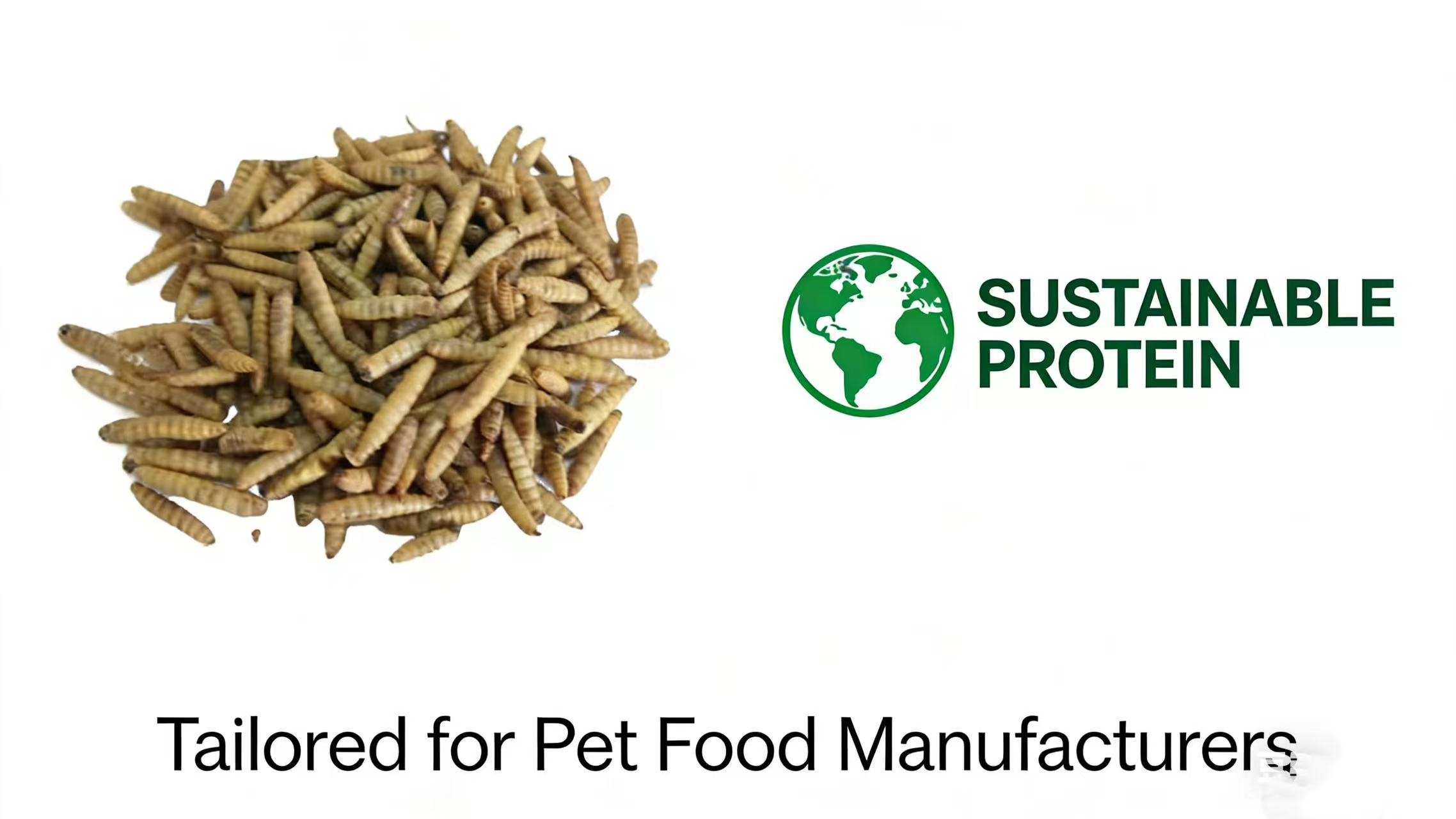 News Release: Premium Dried Black Soldier Fly Larvae for Sustainable Pet Food Formulations
