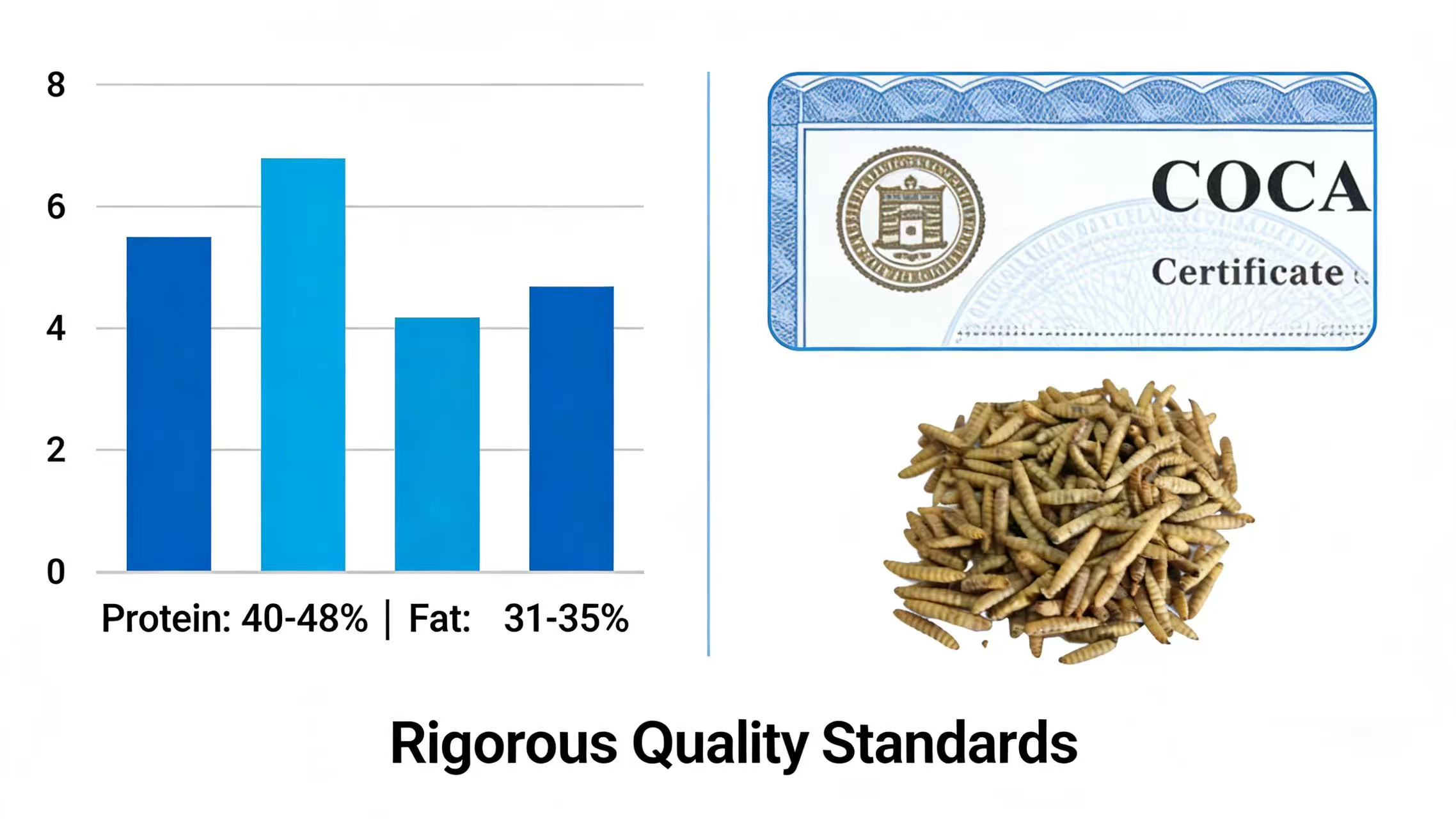 News Release: Premium Dried Black Soldier Fly Larvae for Sustainable Pet Food Formulations