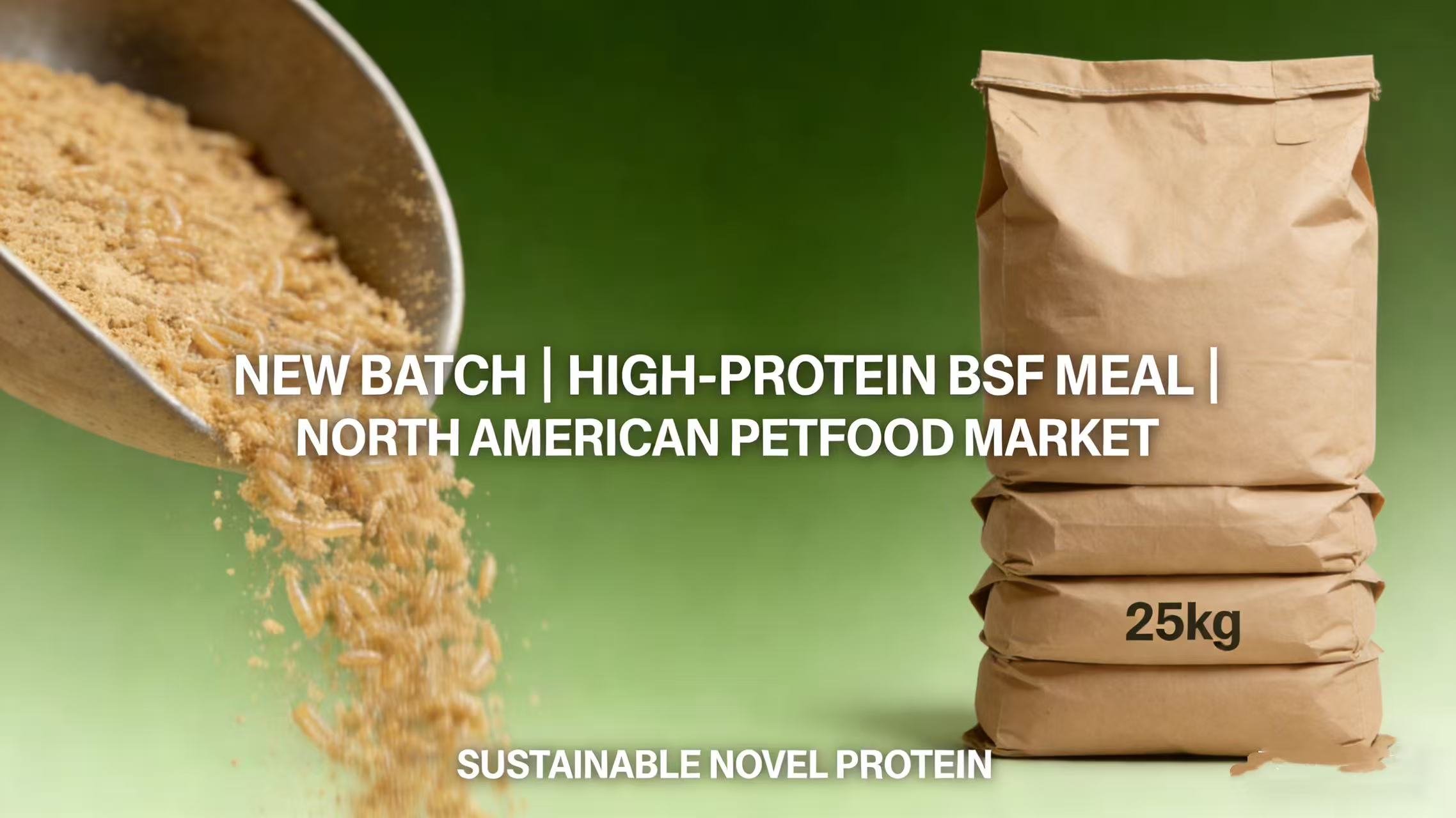 Premium Black Soldier Fly Meal Now Ready for North American Petfood Brands