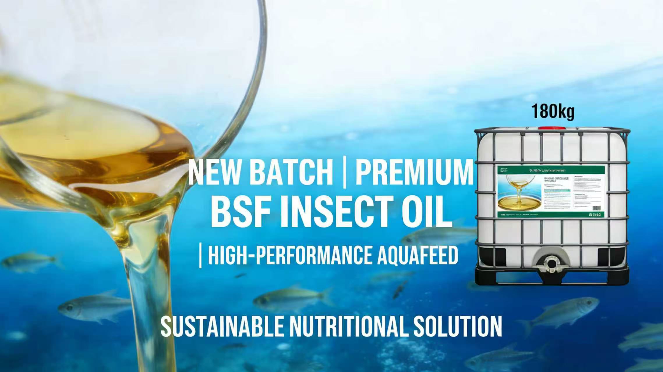 Announcing New High-Quality BSF Insect Oil for Aquafeed: Superior Growth & Sustainability